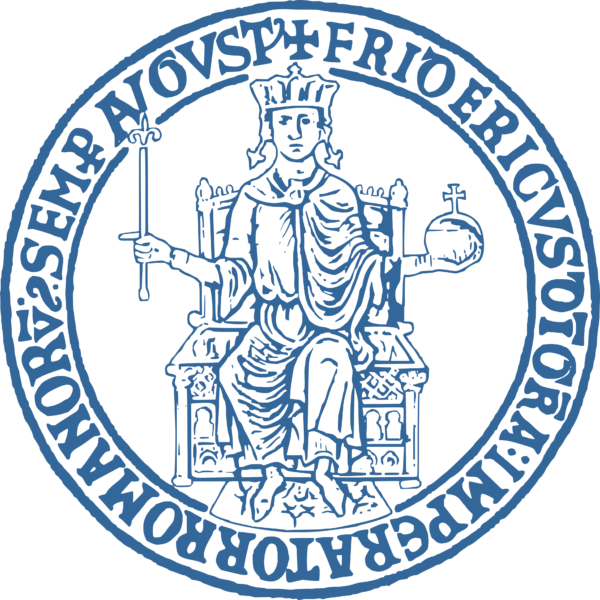 Università degli Studi di Napoli Federico II – III edizione del corso di Perfezionamento in Monumenti e Terremoti